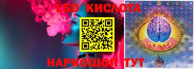 ешки Бердск