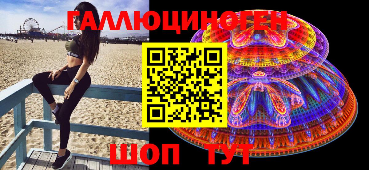 Галлюциногенные грибы Psilocybe Александров