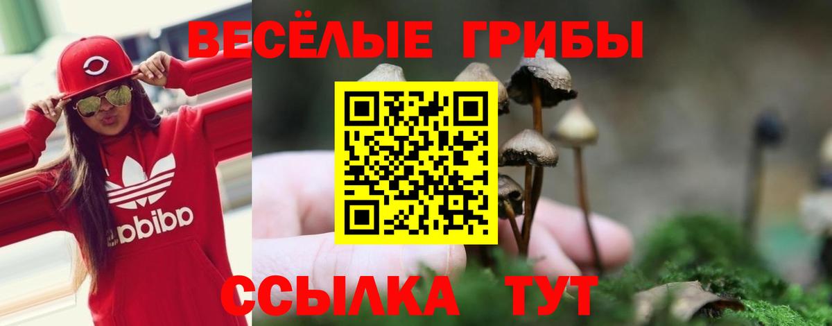 Амфетамин кристаллы  ГАШИШ  APVP СК   Кодеин  МЕФ кристаллы  Вход с VPN  МЕТ  Александров  Конопля  ГАШ  Кетамин 